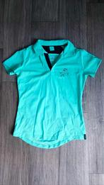 Paardrij shirt met paard erop turquoise maat 158/164, Dieren en Toebehoren, Paardrijkleding, Ophalen of Verzenden, Zo goed als nieuw