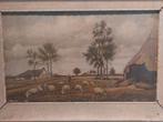 Wicher Scholten Landschap met Schapen 48x57 buitenmaat lijst, Antiek en Kunst, Ophalen of Verzenden