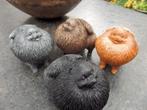 Pomeriaan hondenbeeldjes in diverse kleuren, Dieren en Toebehoren, Ophalen of Verzenden, Nieuw