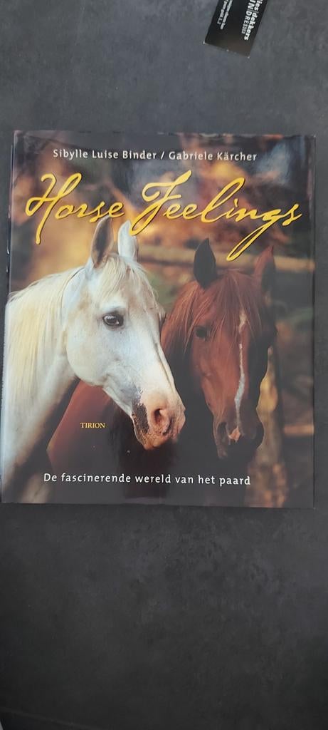 Horse Feelings - Sibylle Luise Binder & Gabrielle Karcher, Boeken, Ophalen of Verzenden, Nieuw, Overige onderwerpen, Sibylle Luise Binder, Gabrielle Karcher
