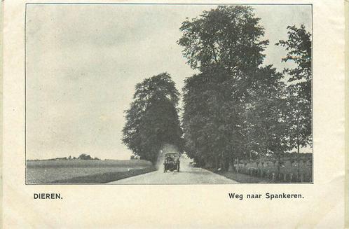 (701-154-041) Dieren Weg naar Spankeren, Verzamelen, Ansichtkaarten | Nederland, Gelderland, Verzenden