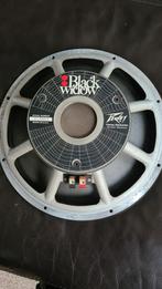 Peavey black widow 15 inch in goede staat 2 stuks, Ophalen, 100 watt of meer