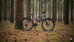 Roze Bulls Mountainbike - Hardtail, Hardtail, Zo goed als nieuw, Dames, Ophalen