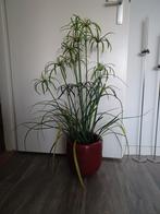 Kunst Parapluplant - 90cm, Huis en Inrichting, Overige soorten, In pot, Minder dan 100 cm, Groene kamerplant