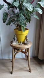 Oud krukje, Ophalen, Hout