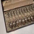 Zilveren theelepels set in cassette, Antiek en Kunst, Ophalen of Verzenden
