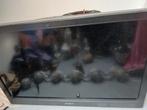 Sony tv (95 cm / 65.5 cm / 10 cm), Ophalen, Zo goed als nieuw