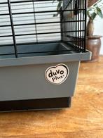 Waterslager kanarie inclusief kooi, Mannelijk, Zangkanarie