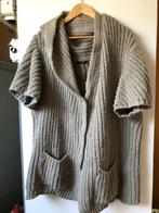Expresso vest licht taupe XL, Kleding | Dames, Truien en Vesten, Ophalen of Verzenden, Zo goed als nieuw, Maat 46/48 (XL) of groter