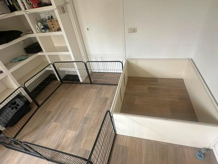 Werpkist gr. hond+ vele toebehoren (camera, vetbedden, ren), Dieren en Toebehoren, Honden-accessoires, Zo goed als nieuw, Ophalen