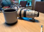 Canon EF 300mm F2.8, Audio, Tv en Foto, Fotografie | Lenzen en Objectieven, Ophalen of Verzenden, Gebruikt, Telelens