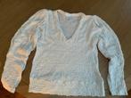 Trui ecru van Dante 6, Kleding | Dames, Beige, Ophalen of Verzenden, Gedragen, Maat 38/40 (M)