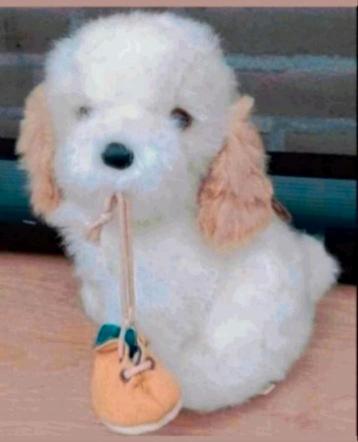 hond sekiguchi Bobbie pluche vintage  beschikbaar voor biedingen