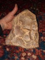 Grote livre de beurre prehistorie, Ophalen of Verzenden