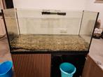 Aquarium 350 liter..... Lekt klein beetje., Dieren en Toebehoren, Vissen | Aquaria en Toebehoren, Ophalen, Verlichting of Verwarming