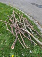Brandhout gratis af tehalen, 3 tot 6 m³, Ophalen, Overige houtsoorten, Takken
