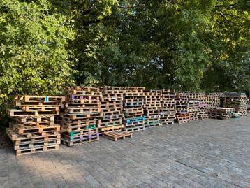 Gratis pallets +- 250 stuks beschikbaar voor biedingen