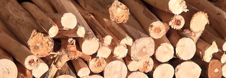 Gratis hout gezocht, Doe-het-zelf en Verbouw, Hout en Planken, Plank, Overige houtsoorten, Minder dan 200 cm, Minder dan 25 mm