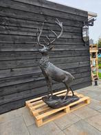 🦌🦌 XL Brons Hert - Tuinbeeld, Xclusive-items@outlook.com, -, Ophalen of Verzenden, Dierenbeeld