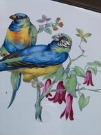 Wandtegel jaren 60e, Ophalen of Verzenden