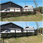 Onderhoudsolie, Carboleum, Creo, Omheining, Hekwerk, Weidegang, Sales@veldomheiningen.nl, Schaijk, 4 paarden of pony's of meer