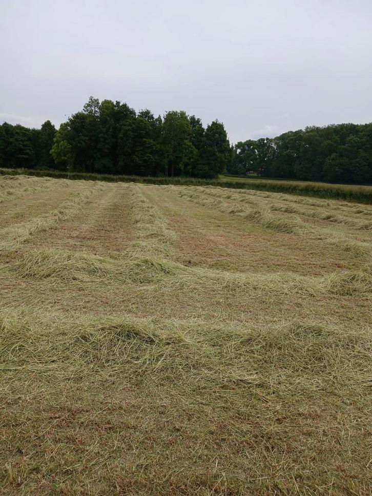 hooi, Dieren en Toebehoren, Dierenvoeding, Overige soorten, Ophalen