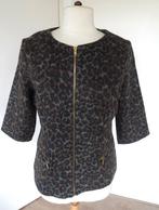 TOP VAN BELLA RAGAZZA MAAT M, Kleding | Dames, Tops, Maat 38/40 (M), BELLA RAGAZZA, Overige kleuren, Ophalen of Verzenden