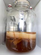 SKOBY kombucha starter, Diversen, Levensmiddelen, Ophalen