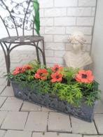 Balkon bak met mooie bloemen....Poppenhuis 1:12... (Nr F9)*, Ophalen of Verzenden, Nieuw, Poppenhuis