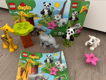 Lego duplo babydieren beschikbaar voor biedingen