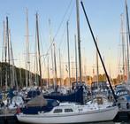 kajuitzeilboot fellowship 27, Watersport en Boten, Gebruikt, Ophalen of Verzenden, Tourjacht of Cruiser, 6 tot 9 meter