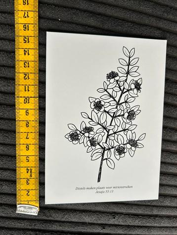 152.Plaatje religieus Distel tekst beschikbaar voor biedingen