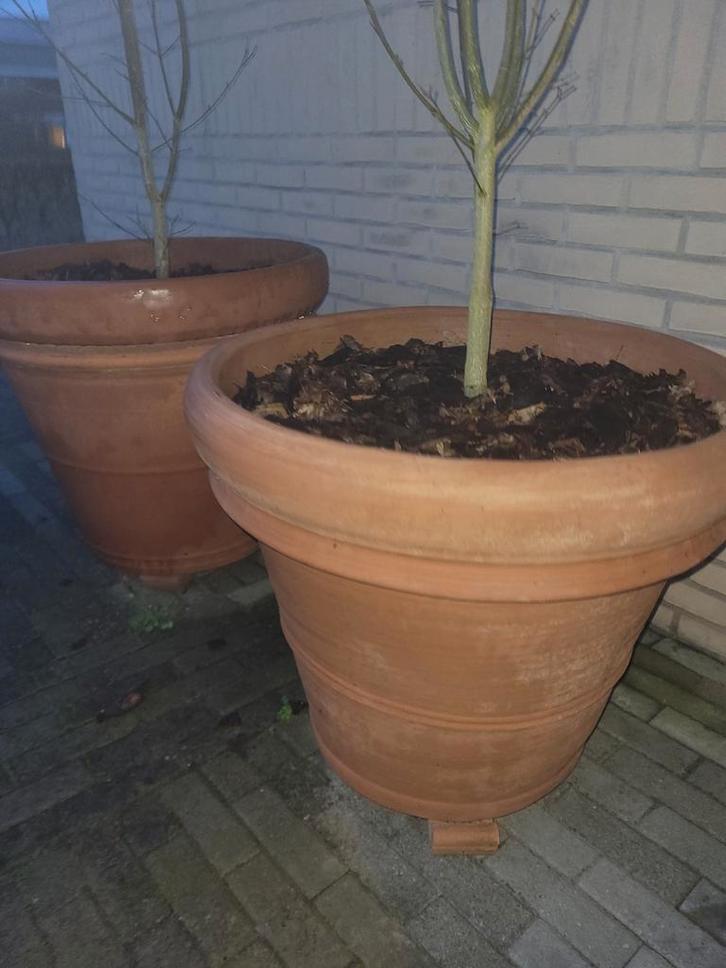 Grote Terracotta Bloempotten - Set van 2, Tuin en Terras, Bloempotten, Gebruikt, Terracotta, Binnen, Balkon, Tuin, 40 tot 70 cm