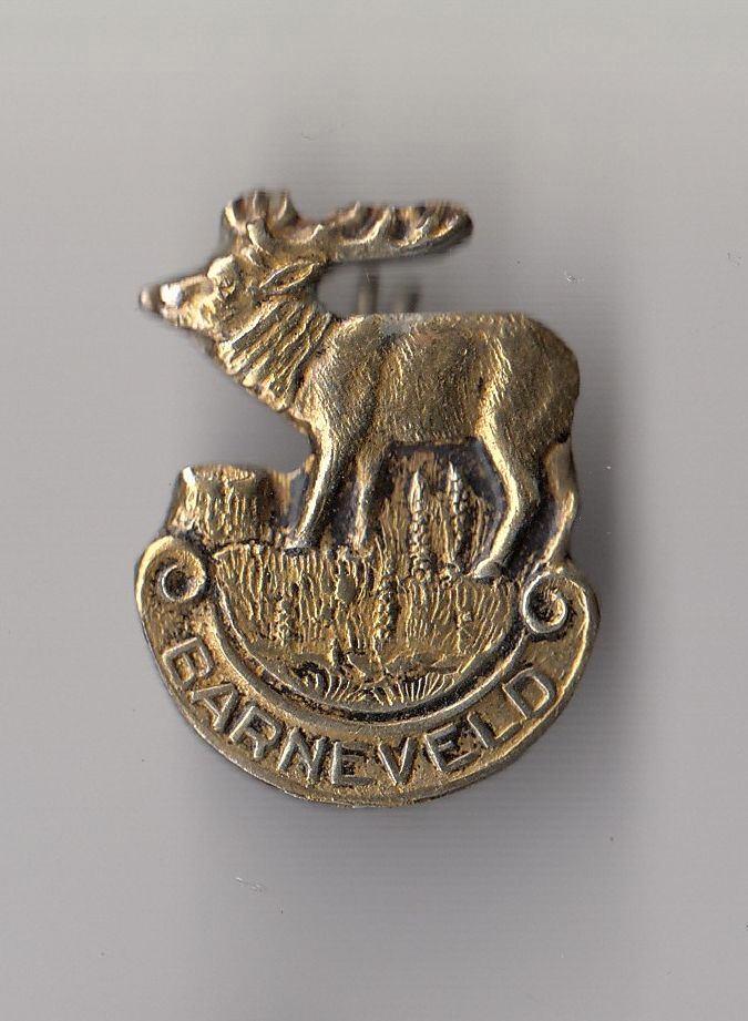 Barneveld Hert broche, Verzamelen, Speldjes, Pins en Buttons, Gebruikt, Speldje of Pin, Overige onderwerpen, Ophalen of Verzenden