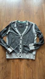 Vest black label, Ophalen of Verzenden, Gedragen, Maat 48/50 (M), Grijs