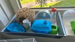 Hamsterkooi met veel toebehoren, Dieren en Toebehoren, Knaagdieren en Konijnen | Hokken en Kooien, Kooi, Gebruikt, Minder dan 75 cm