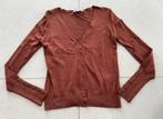 Dames vest bruin L met knoopjes, Ophalen of Verzenden, Gedragen, Bruin