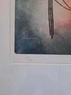 Prachtige ingelijste kleuren ets van kunstenaar Ad Arma., Ophalen of Verzenden