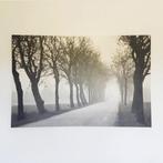 Ikea pjatteryd canvas weg met bomen 78 x 118 cm, Huis en Inrichting, Woonaccessoires | Schilderijen, Tekeningen en Foto's, Ophalen of Verzenden