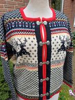 Skjaeveland Noors wollen Vest Folklore Rendier Maat 36, Kleding | Dames, Truien en Vesten, Overige kleuren, Ophalen of Verzenden