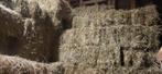 Kleine hooipakjes biologisch, Dieren en Toebehoren, Ophalen
