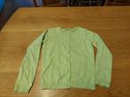 Vest Hema 134/140, Gebruikt, Meisje, Trui of Vest, Ophalen of Verzenden