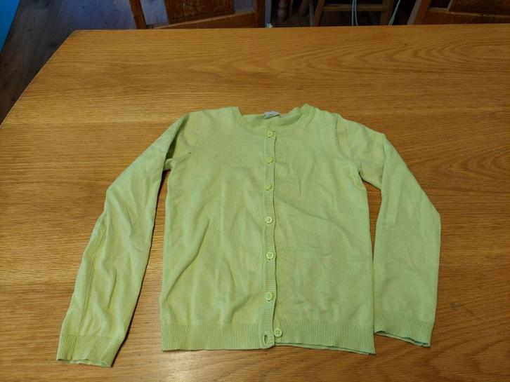 Vest Hema 134/140, Kinderen en Baby's, Kinderkleding | Maat 134, Gebruikt, Meisje, Trui of Vest, Ophalen of Verzenden