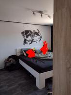 Bedframe wit 180 bij 210 gratis, Ophalen, Gebruikt, Tweepersoons, 180 cm