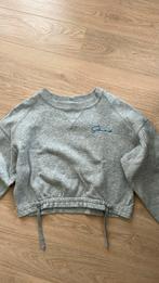 Silvercreek sweater maat S, Silver Creek, Ophalen of Verzenden, Zo goed als nieuw, Maat 36 (S)