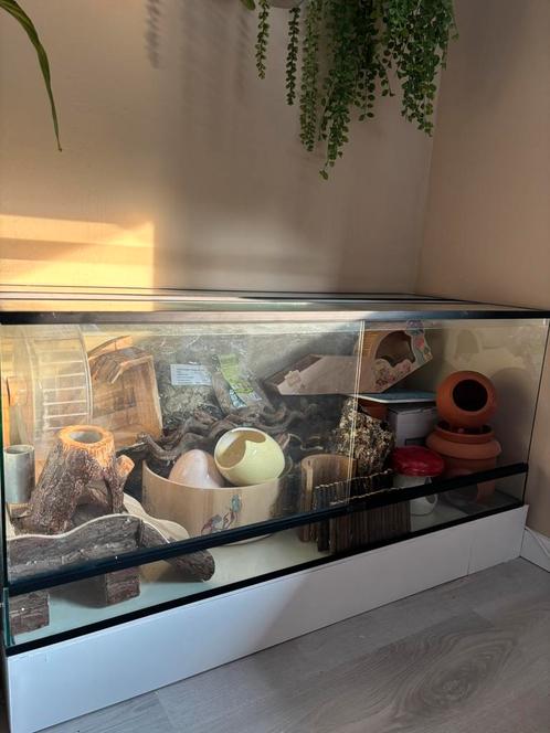 Hamster scape - terrarium, Dieren en Toebehoren, Knaagdieren en Konijnen | Hokken en Kooien, Zo goed als nieuw, Kooi, Minder dan 60 cm