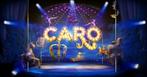 3 x Theater Caro Efteling Tickets (vouchercode), Ophalen of Verzenden, Nieuw