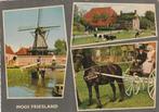 FRIESLAND Molen Boerderij Klederdracht, Verzenden, 1980 tot heden, Gelopen, Friesland