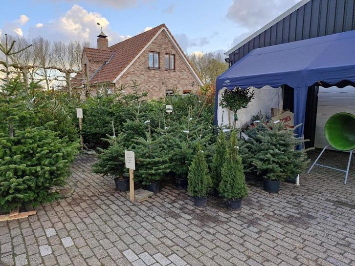 kerstboom, Diversen, Kerst, Nieuw, Ophalen