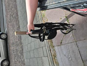 Nieuw mentuig  beschikbaar voor biedingen